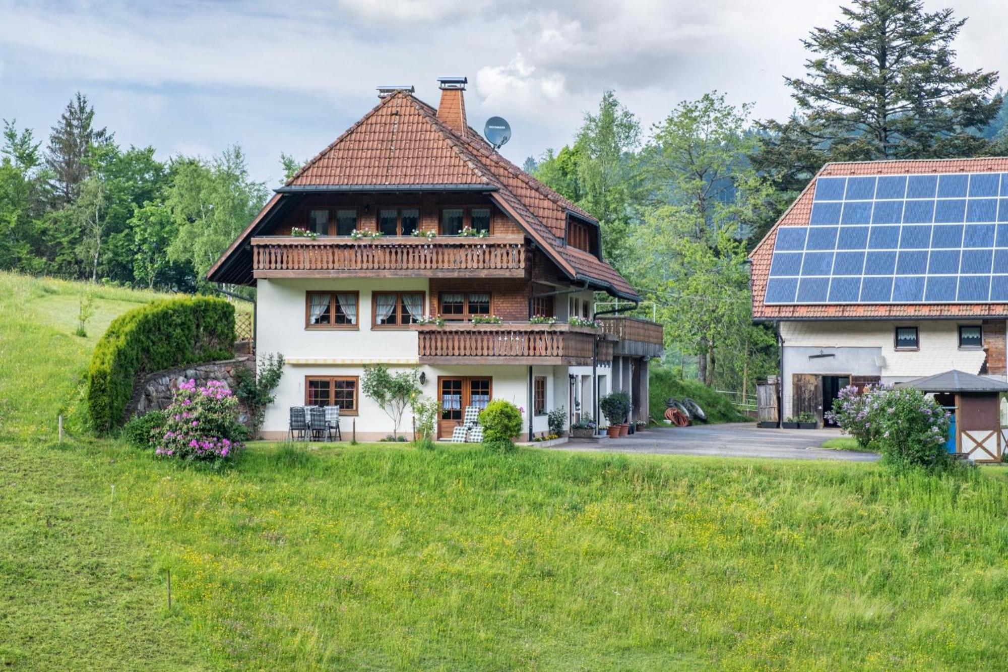 Schreinerhaeusle Naehe Titisee Himmelreich Exterior foto