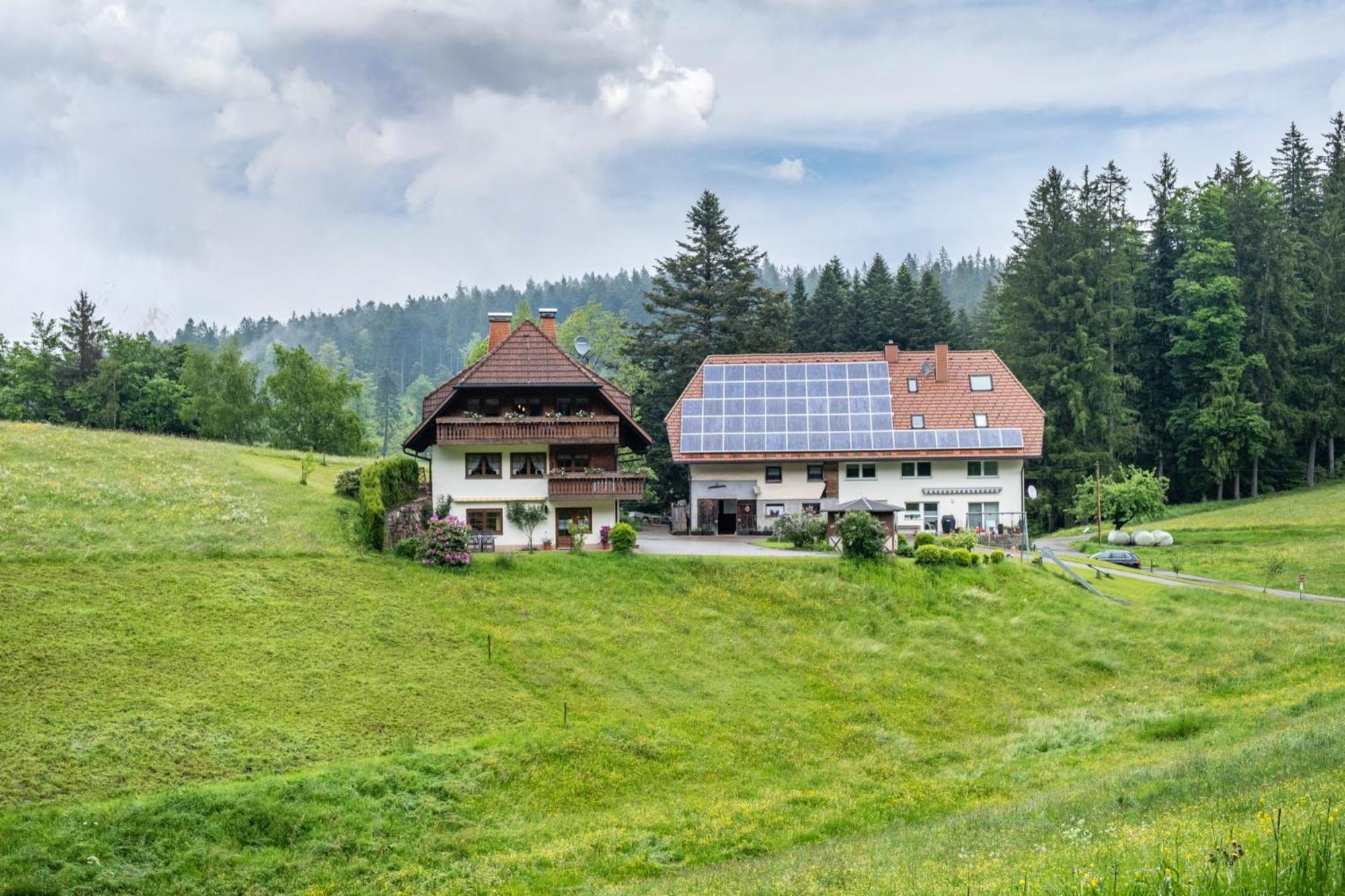 Schreinerhaeusle Naehe Titisee Himmelreich Exterior foto