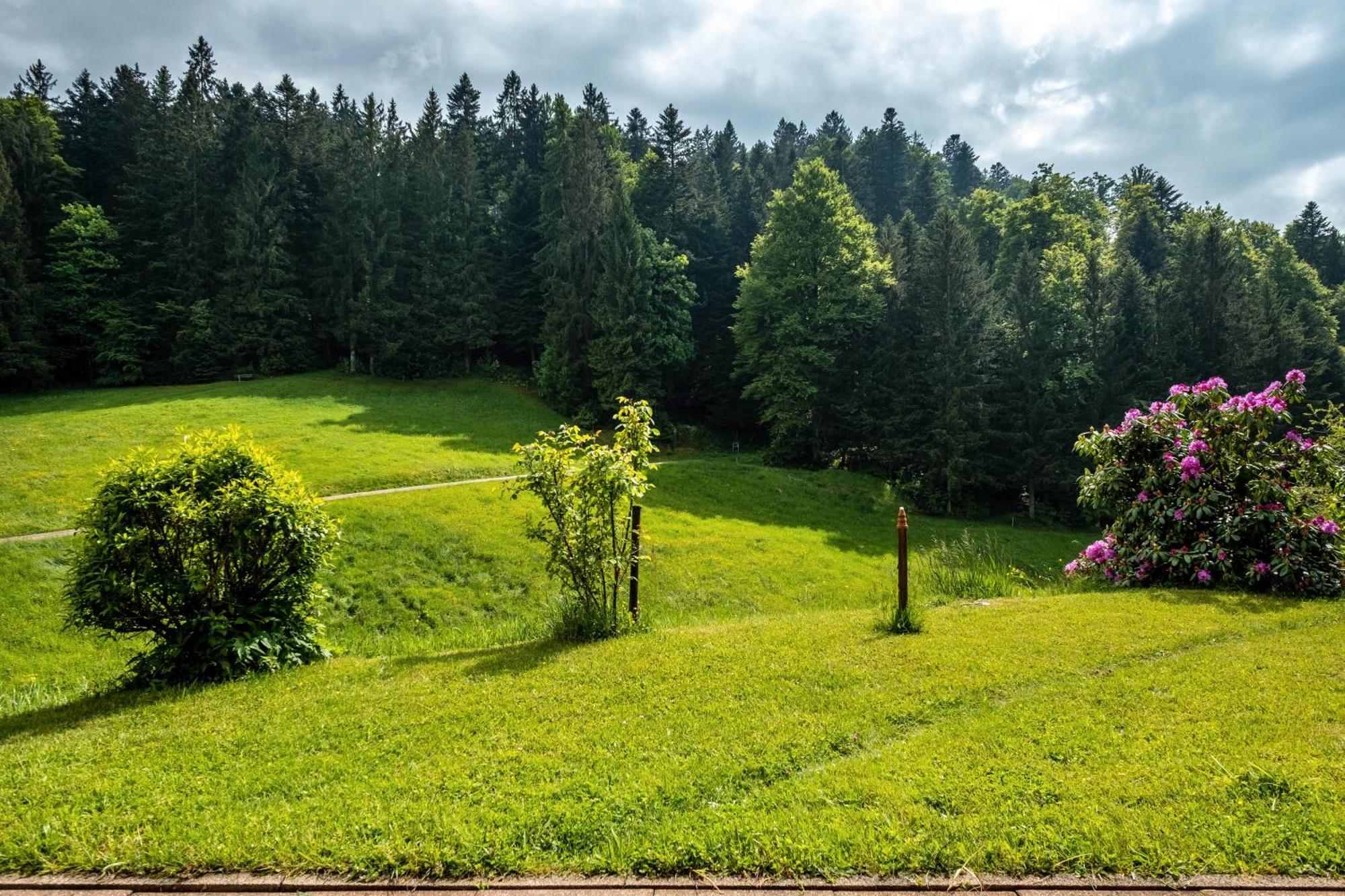 Schreinerhaeusle Naehe Titisee Himmelreich Exterior foto