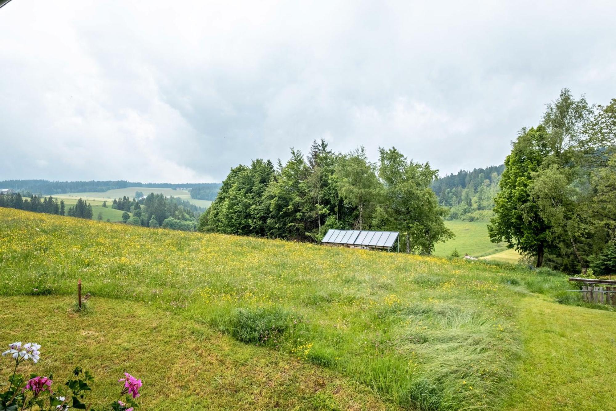 Schreinerhaeusle Naehe Titisee Himmelreich Exterior foto