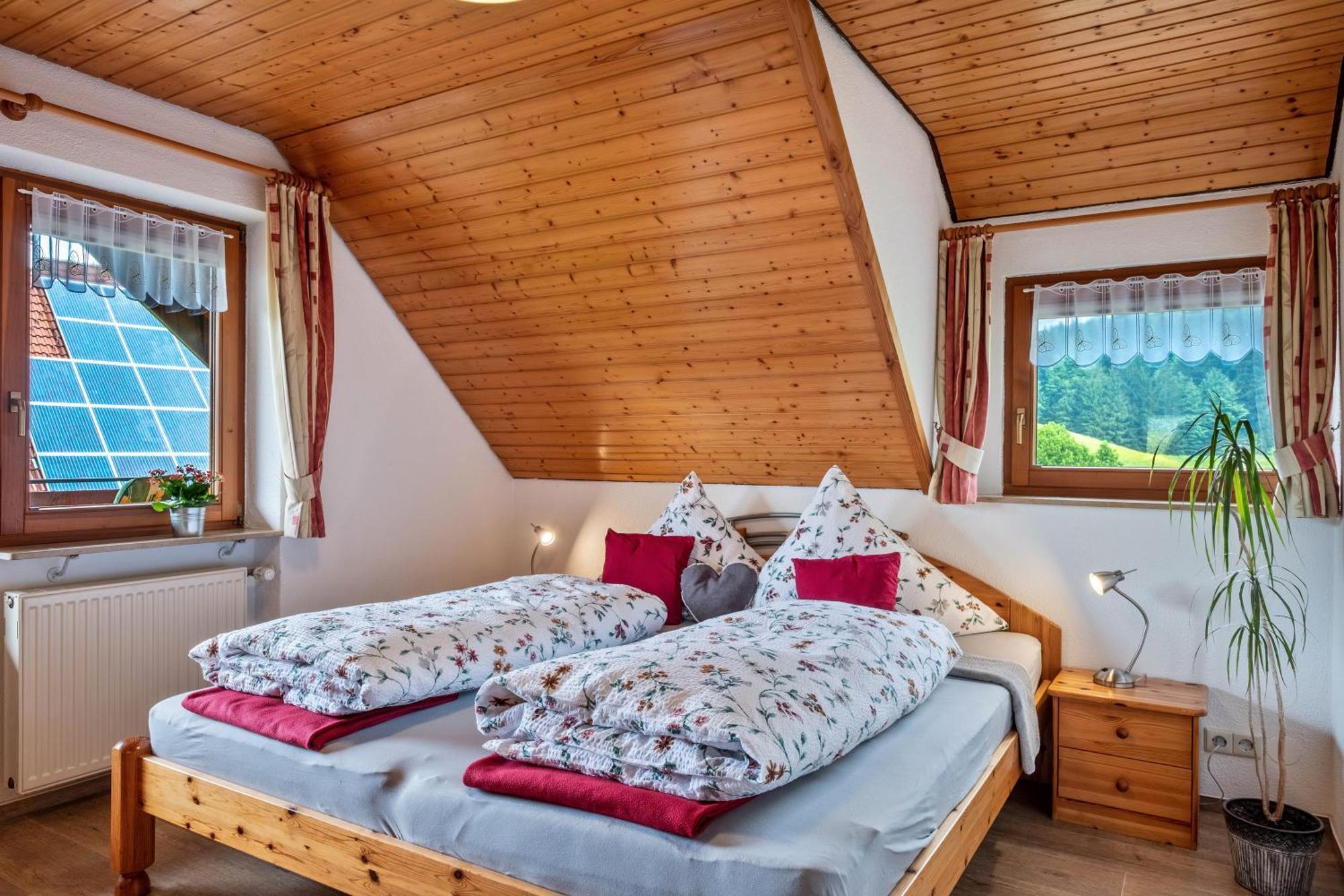 Schreinerhaeusle Naehe Titisee Himmelreich Exterior foto
